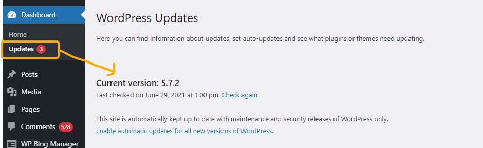 Wordpress Update